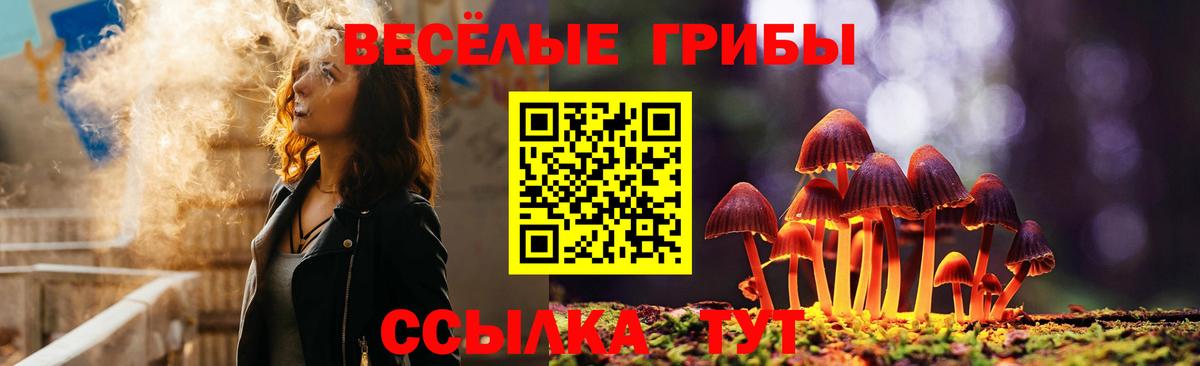 Псилоцибиновые грибы прущие грибы  Вход с VPN  Сургут 